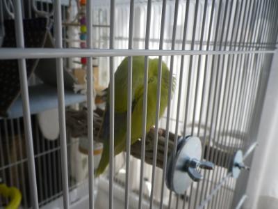 001_convert_20120408111913.jpg