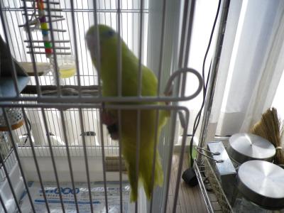 002_convert_20120408112217.jpg