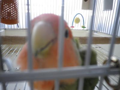 004_convert_20120407173656.jpg