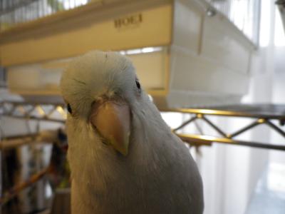 005_convert_20120502193431.jpg