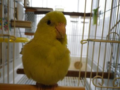 006_convert_20120505155157.jpg