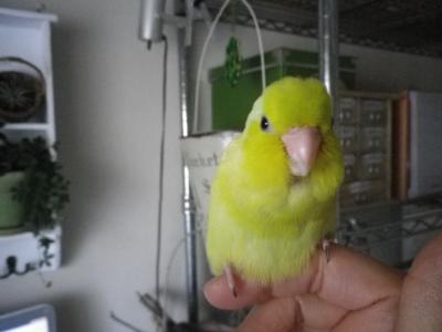 017_convert_20120415160720.jpg