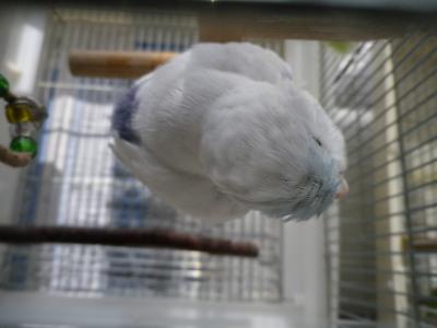 020_convert_20120505164505.jpg
