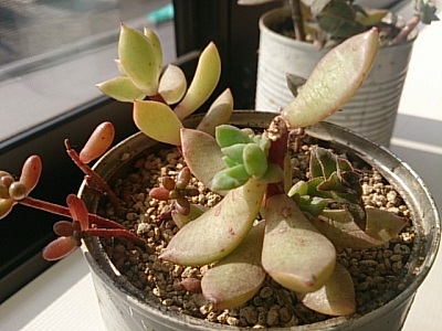 DSC_8981.jpg