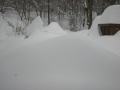 DSCN1182.jpg