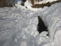 DSCN1187.jpg