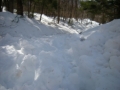 DSCN1188.jpg
