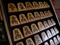 DSCN1195.jpg