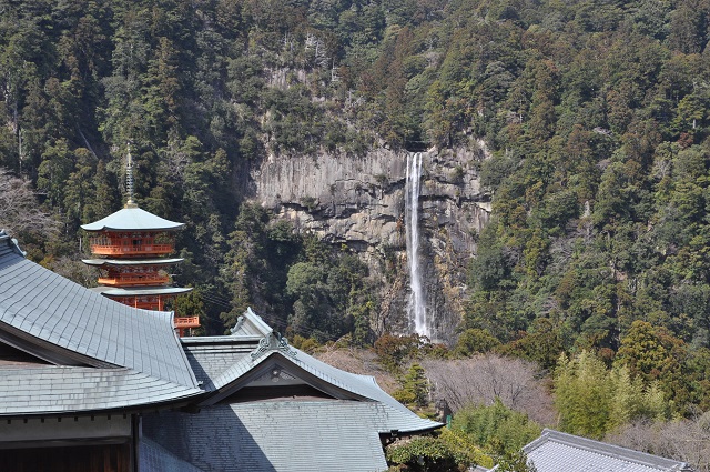 DSC_0030_20130406145856.jpg