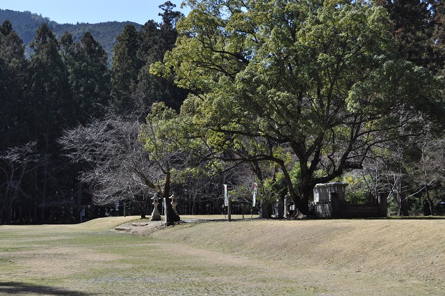 DSC_0096.jpg
