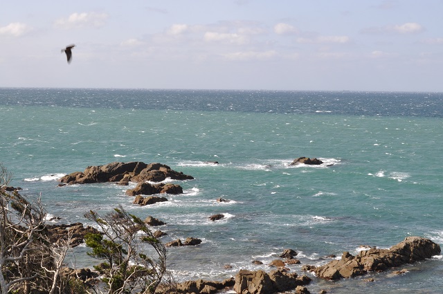 DSC_0130.jpg