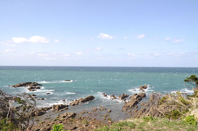 DSC_0132.jpg