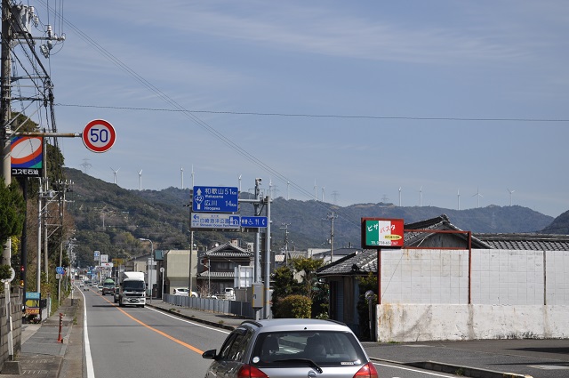 DSC_0135.jpg