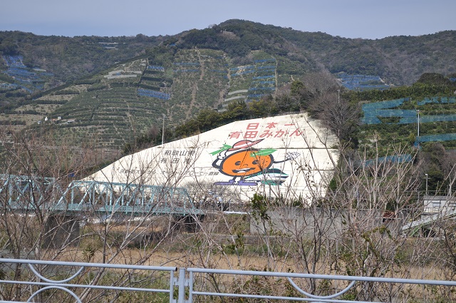 DSC_0150.jpg