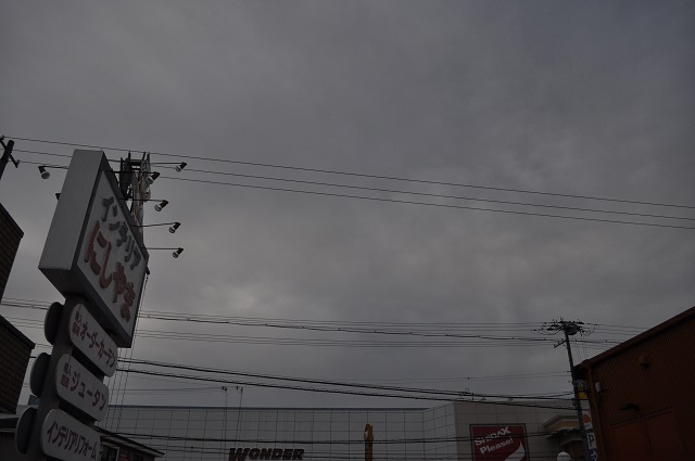 DSC_0167.jpg
