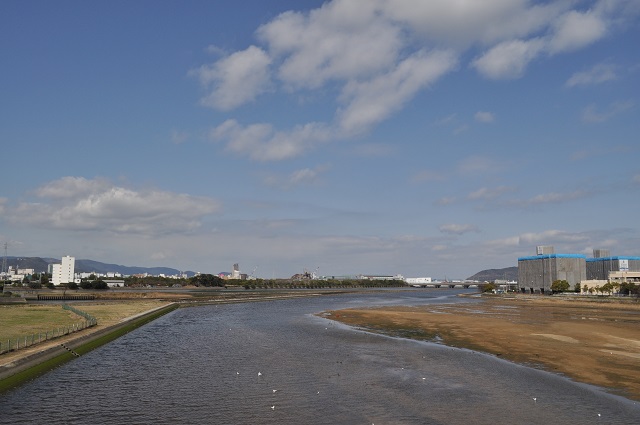 DSC_0208.jpg