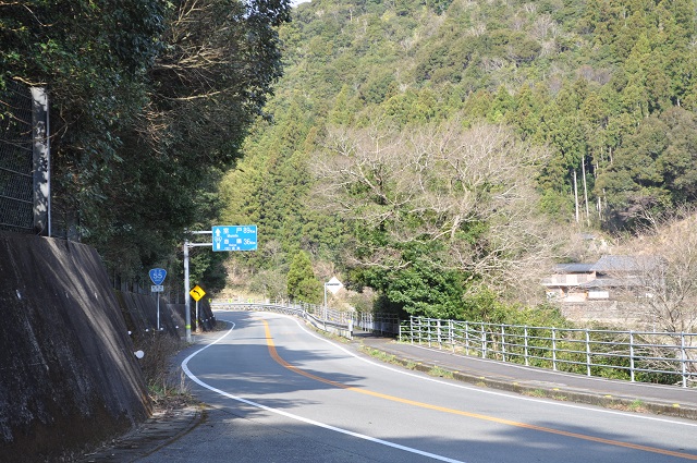 DSC_0377.jpg