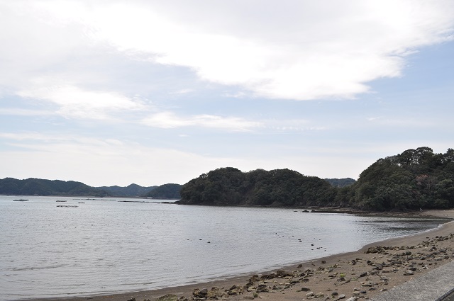 DSC_0389.jpg