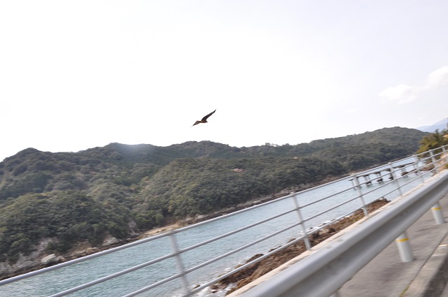 DSC_0393.jpg