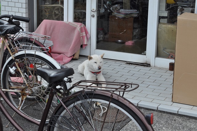 DSC_0413.jpg