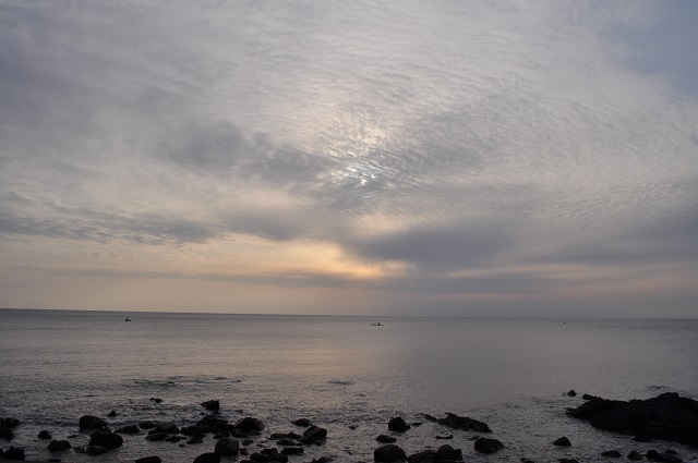 DSC_0433.jpg