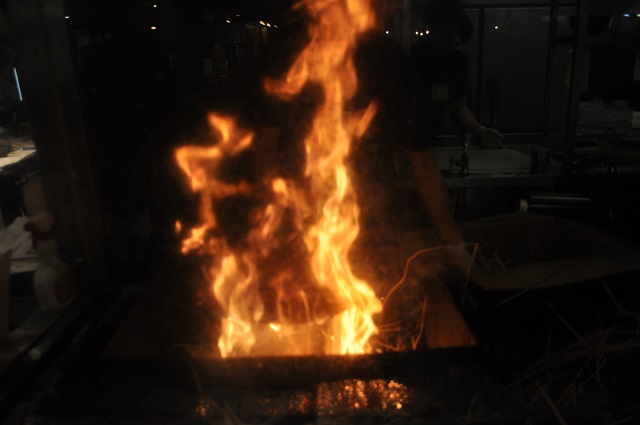 DSC_0454.jpg