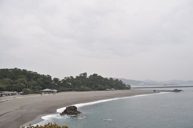 DSC_0481_20130518153156.jpg