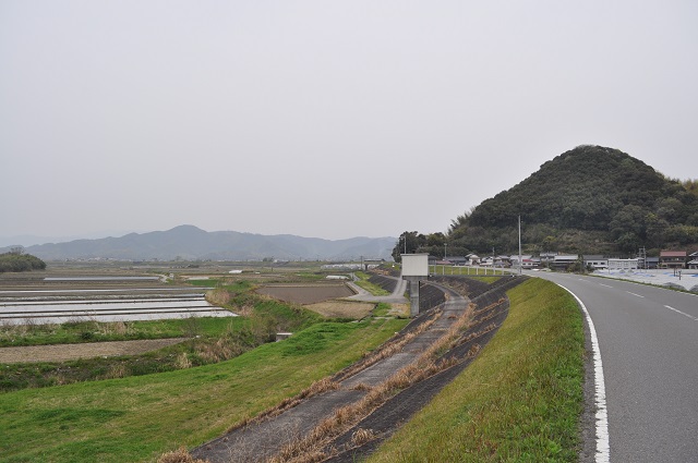 DSC_0490_20130518153157.jpg