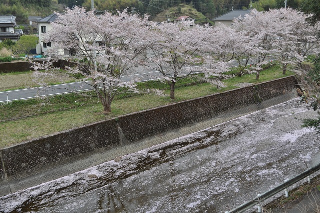 DSC_0500_20130518153217.jpg