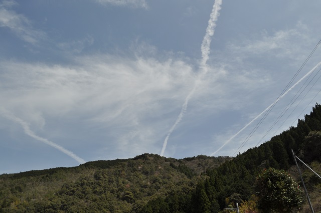 DSC_0616_20130529165112.jpg