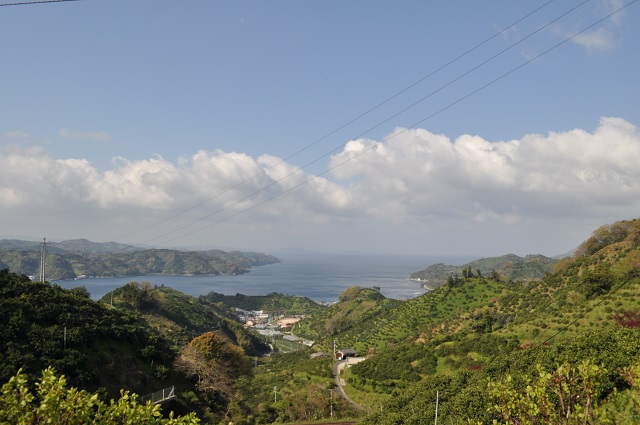 DSC_0660_20130615133701.jpg