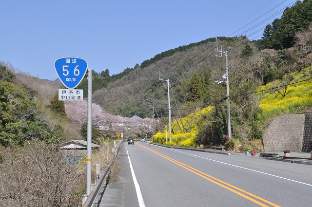 DSC_0674_20130615133723.jpg