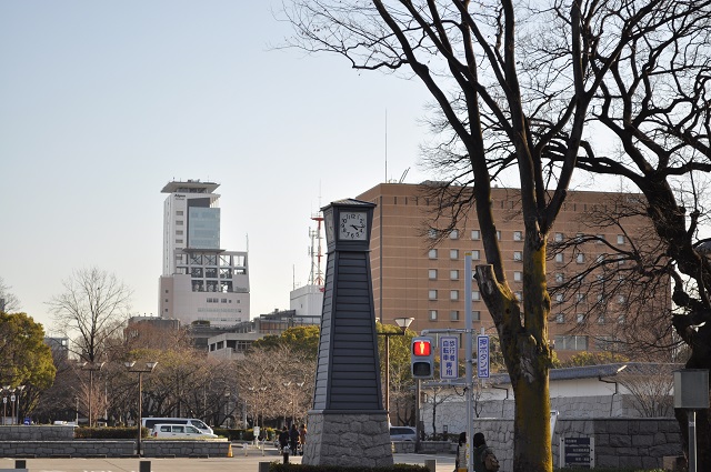 DSC_0690.jpg