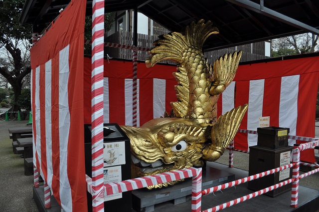 DSC_0706.jpg