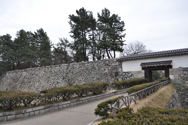 DSC_0720.jpg
