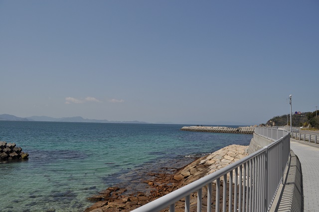 DSC_0818.jpg