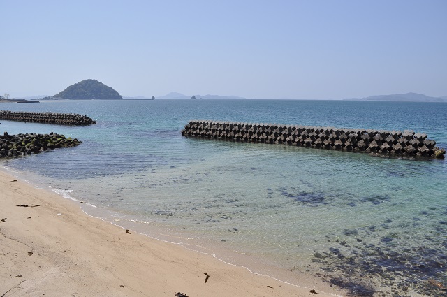 DSC_0820.jpg