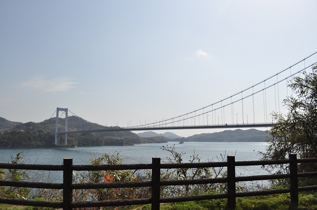 DSC_0843_20130721132716.jpg