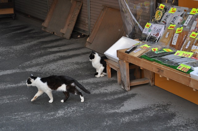 DSC_0915.jpg