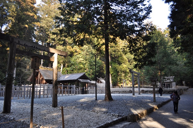 DSC_1001.jpg