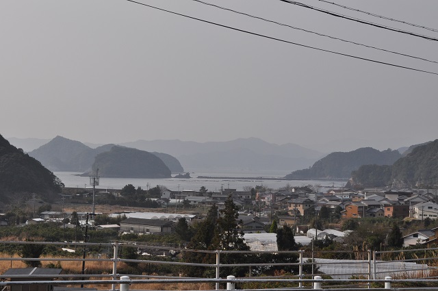 DSC_1019.jpg