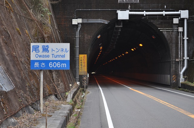DSC_1030.jpg