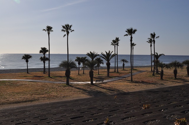 DSC_1045.jpg
