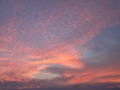 P9210750.jpg