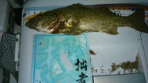 2014091902