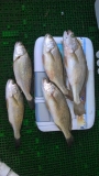 2014092704