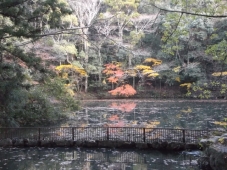 DSCF7400.jpg