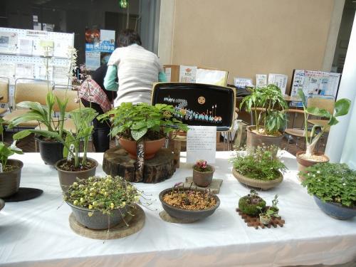 DSCN2910.jpg