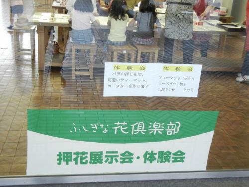 DSCN3208.jpg
