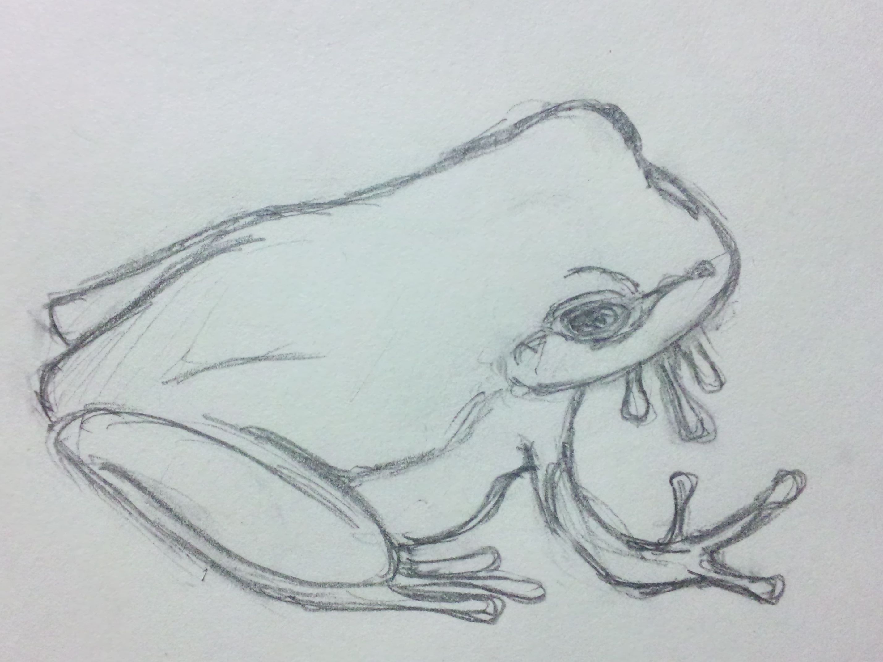 1155 115 らくがき